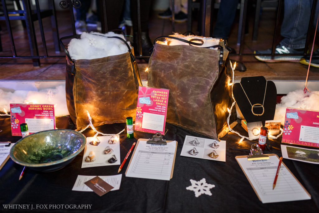 116 winterkids license to chill fundraiser 2019 portland house of music portland maine event photographer whitney j fox 6232 w