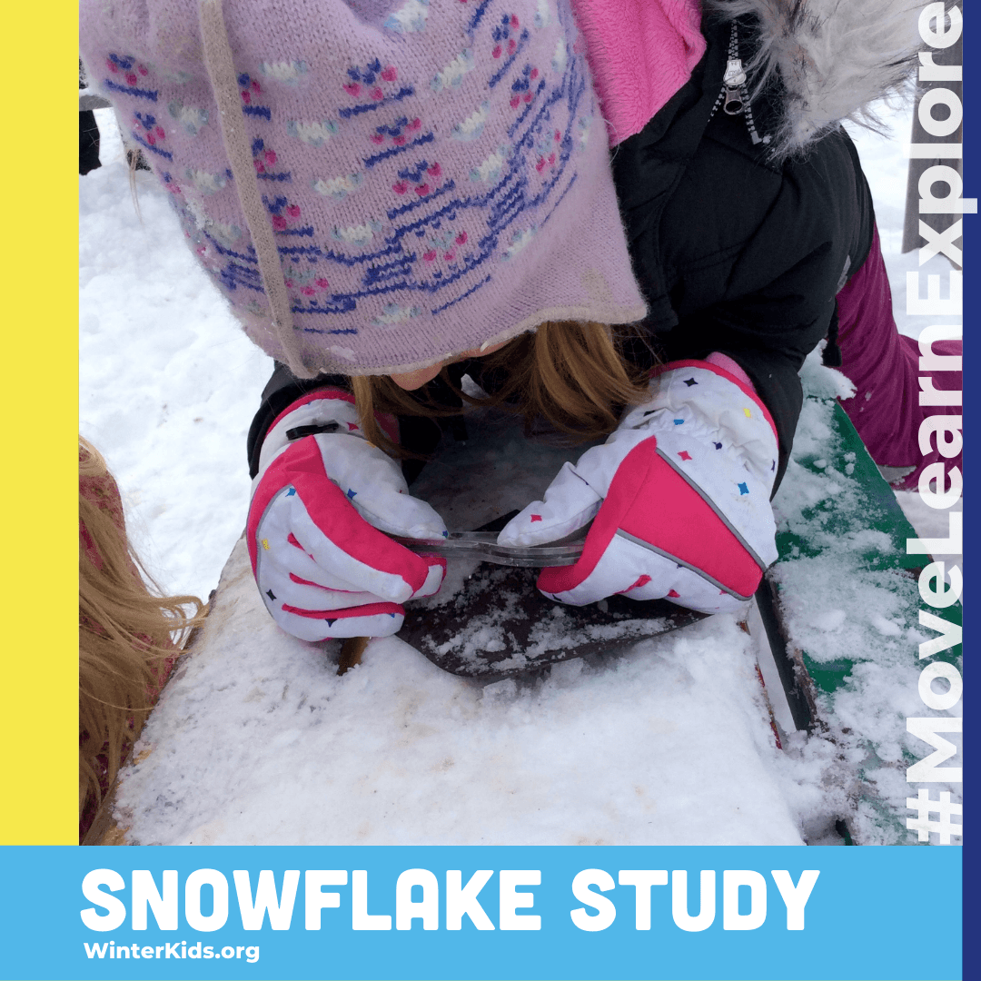 Snowflake Study